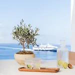 Apartmán Namaste Boutique Mykonos